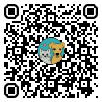 qr-paypal
